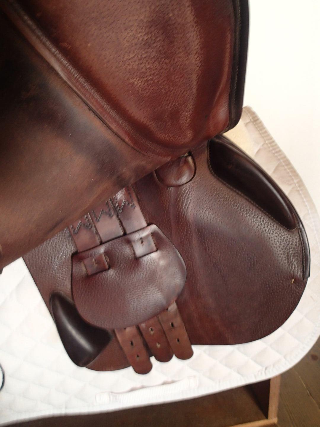 17.5" Equipe Grand Prix Saddle - 2019 - 5.25" dot to dot (000)