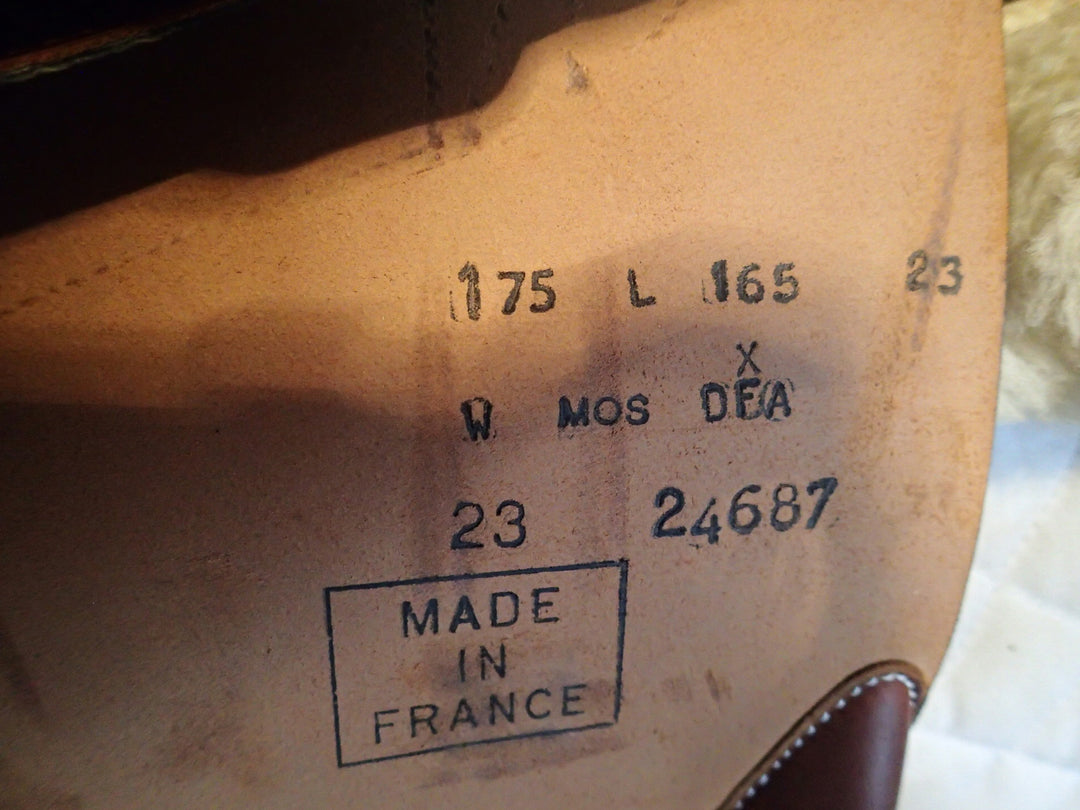 16.5" Butet Premium Saddle - Full Calfskin - 2023 - L Seat - 1.75 Flaps - 4.5" dot to dot (002)