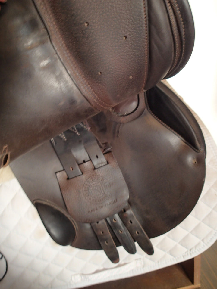 17" Luc Childeric Saddle - 2019 - 5" dot to dot (044)