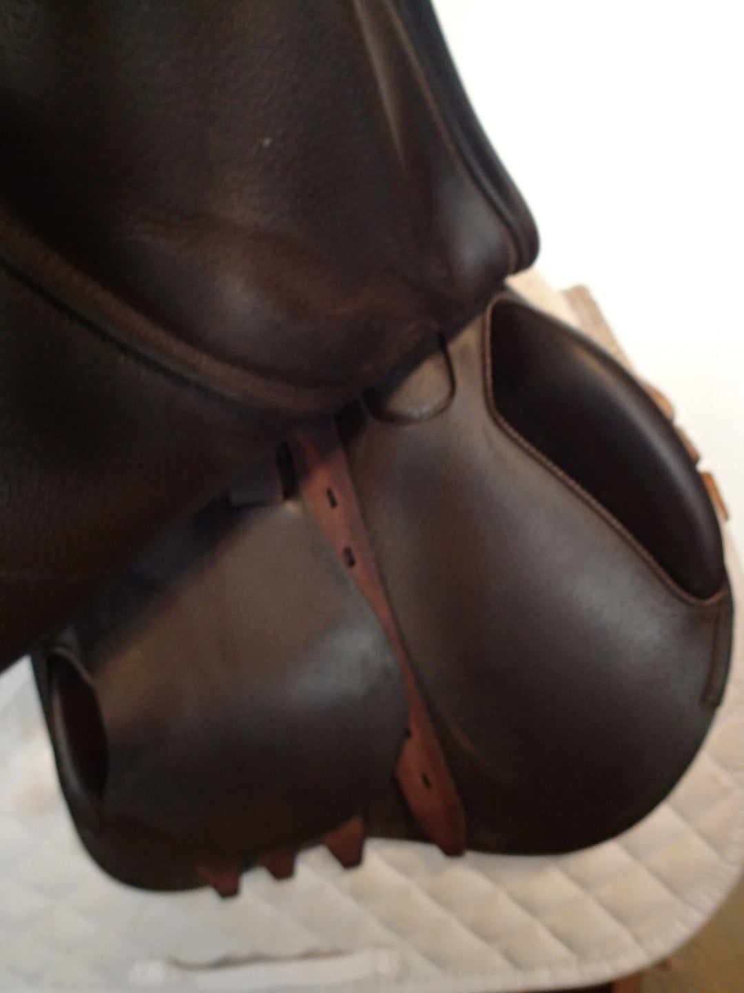 17.5" Amerigo Pinerolo Saddle - Full Buffalo - 2023 - 4.5" dot to dot (051)