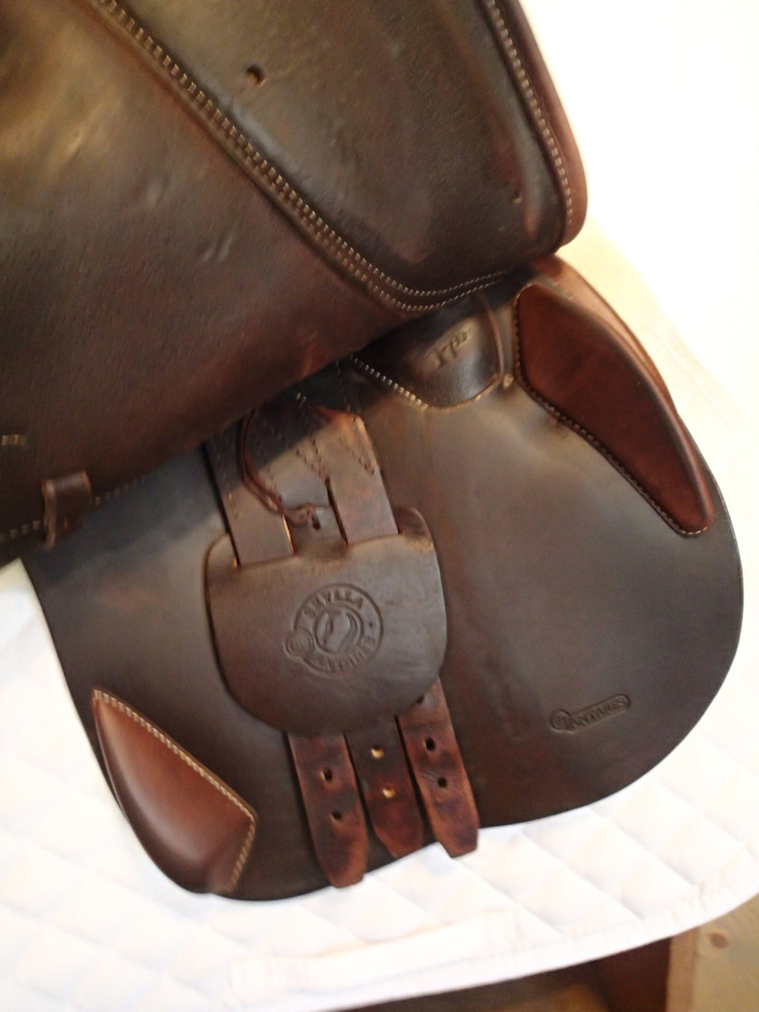 17" Antares Skylla Saddle - Full Calfskin - 2020 - 2N Flaps - 4.5" dot to dot