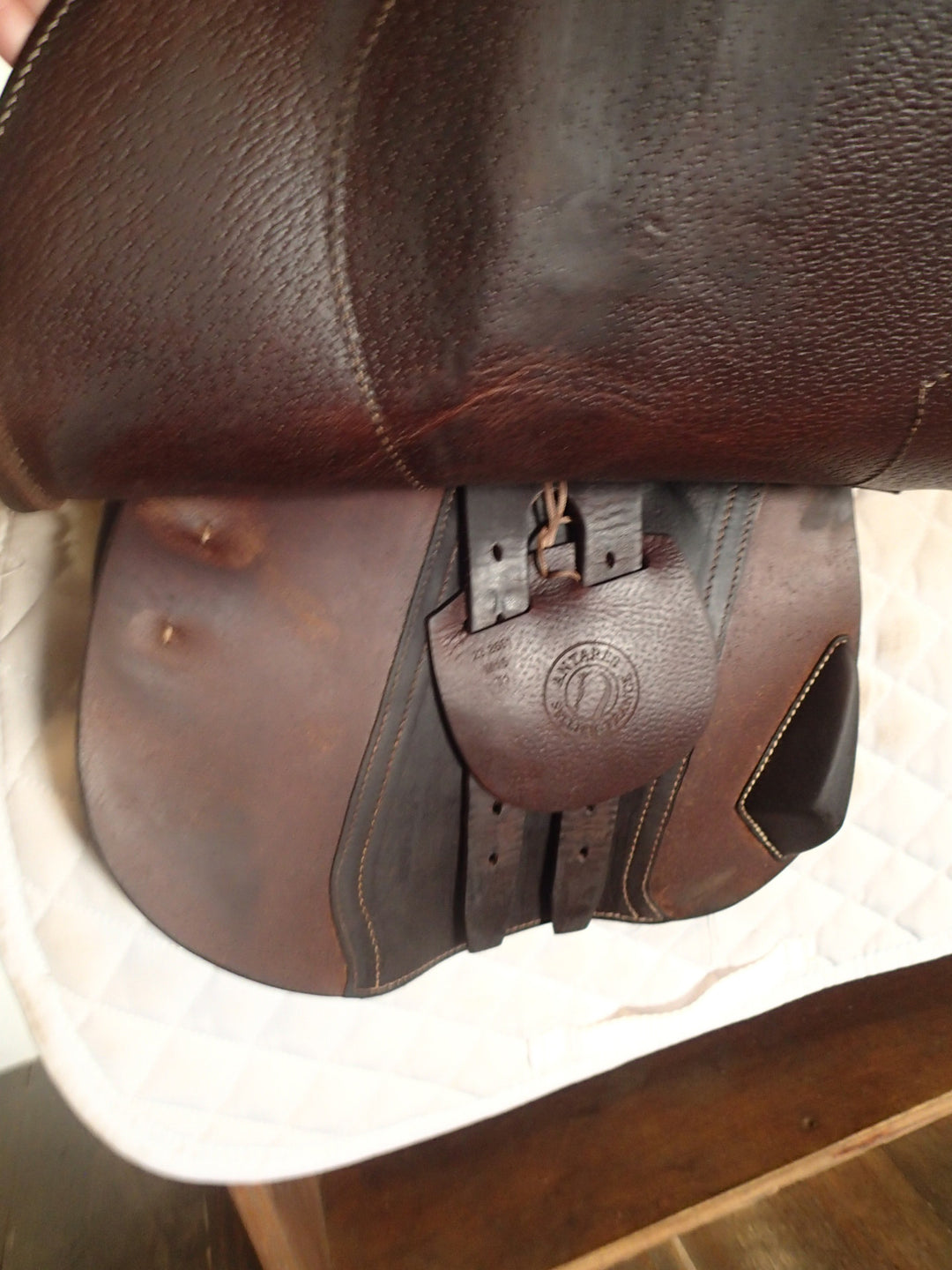 16.5" Antares Hero Saddle - Full Buffalo - 2023 - 5" dot to dot (112)