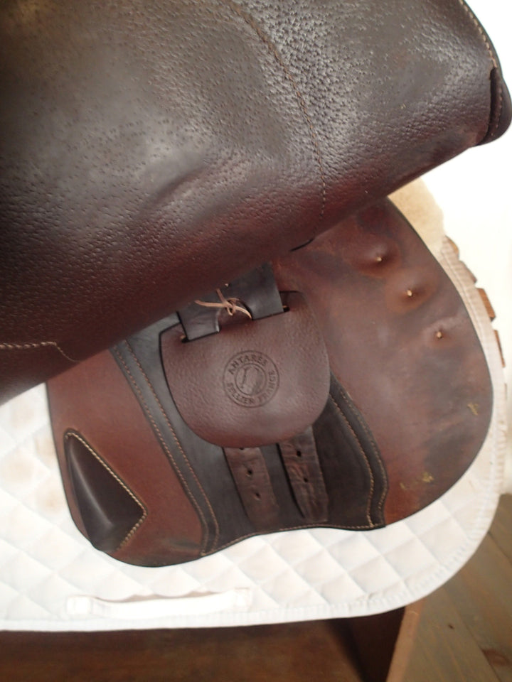 16.5" Antares Hero Saddle - Full Buffalo - 2023 - 5" dot to dot (112)