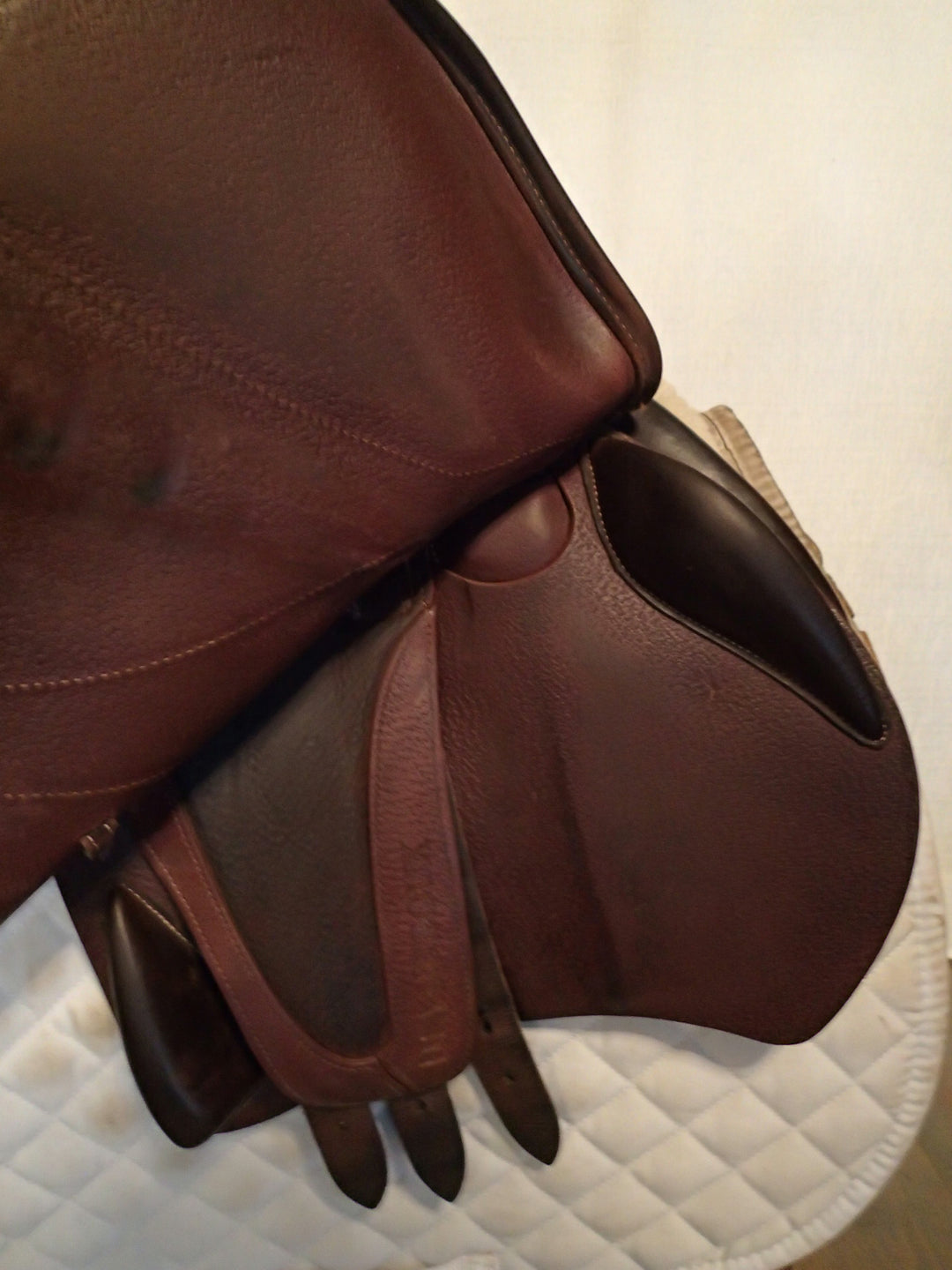 17.5" Devoucoux Biarritz Lab Saddle - Full Buffalo - 2023 - 2A Flaps - 4.5" dot to dot (116)