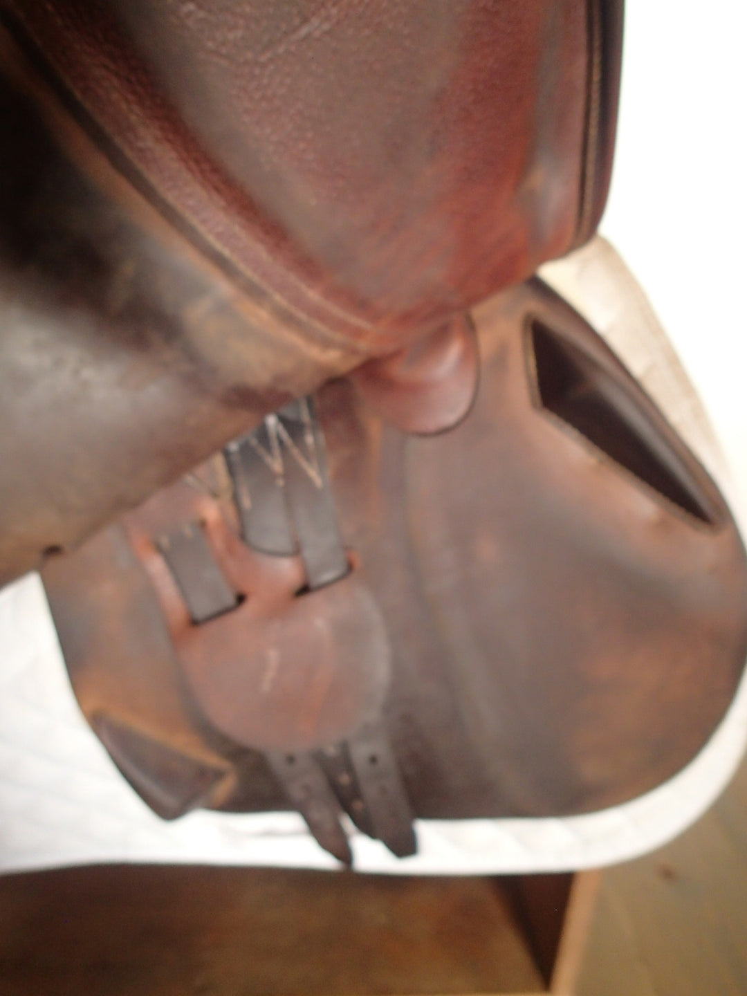 17" Antares Connexion Saddle - 2019 - 3AAB Flaps - 5" dot to dot (167)