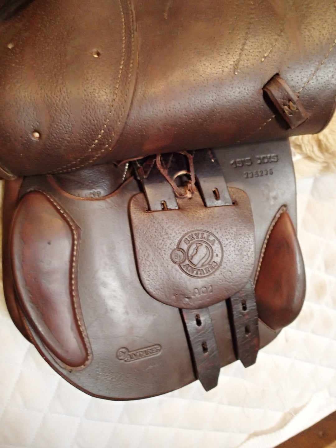 15" / 15.5" Antares Skylla Saddle - Full Calfskin - 2023 - 5" dot to dot (224)