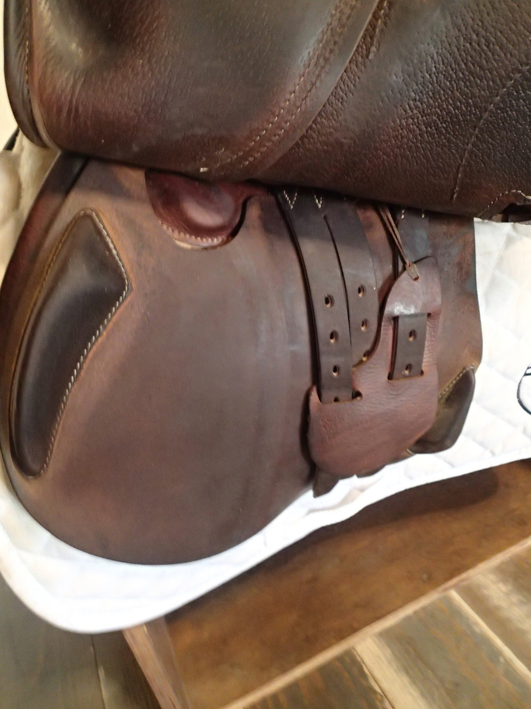 17.5" Antares Evolution D Saddle - Full Buffalo - 2022 - 3AA Flaps - 4.75" dot to dot (286)
