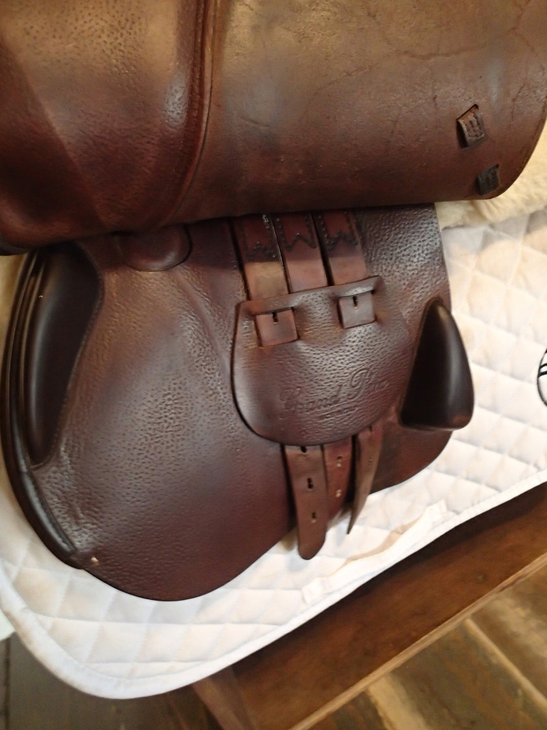 17.5" Equipe Grand Prix Saddle - 2019 - 5.25" dot to dot (303)