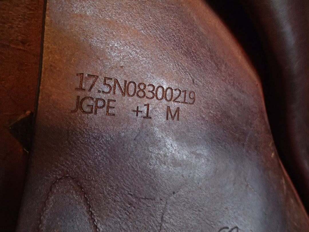 17.5" Equipe Grand Prix Saddle - 2019 - 5.25" dot to dot (303)