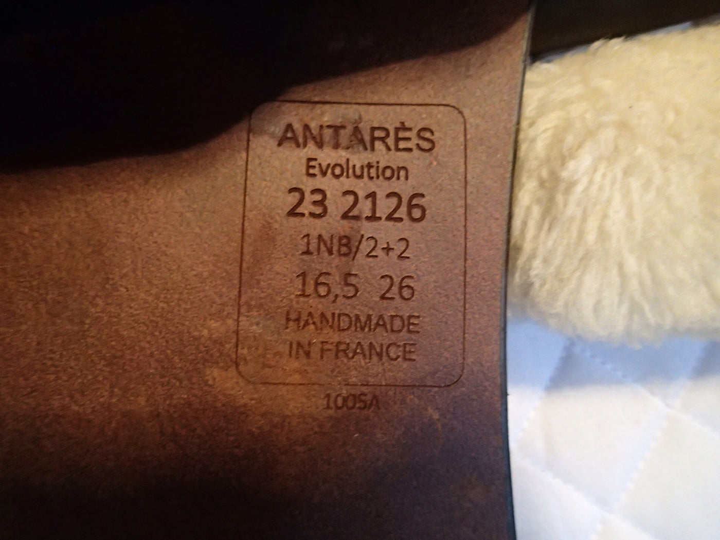 16.5" Antares Evolution Saddle - 2023 - 1NB Flaps - 4.5" dot to dot