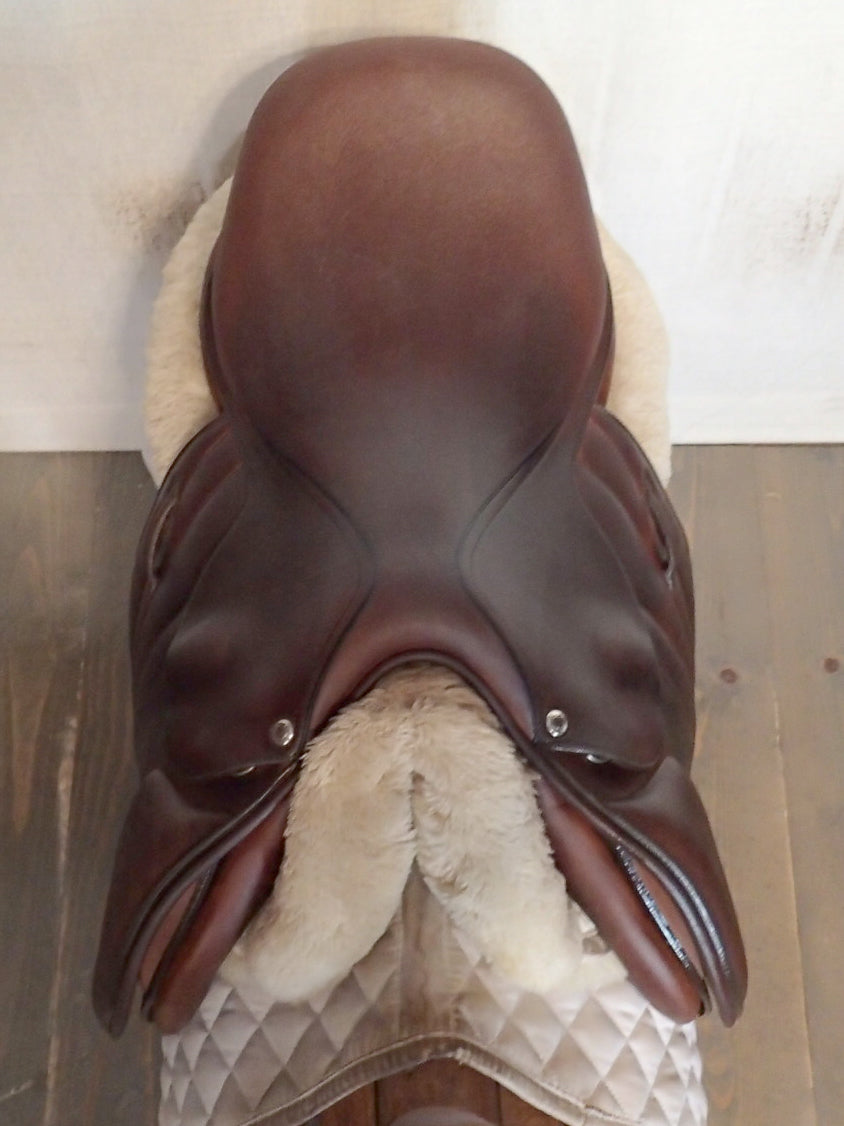 16" Butet Premium Saddle - Full Calfskin - 2020 - L Seat - 1.75 Flaps - Wool Flocked - 4.5" dot to dot (325)