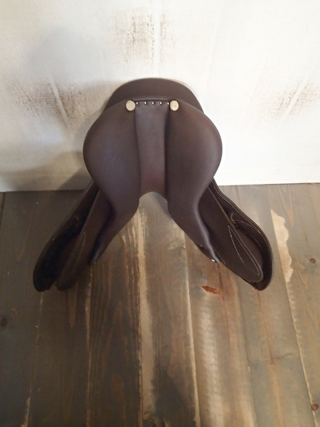 15.5" Antares Skylla Saddle - Full Calfskin - 2023 - 4.5" dot to dot (425)
