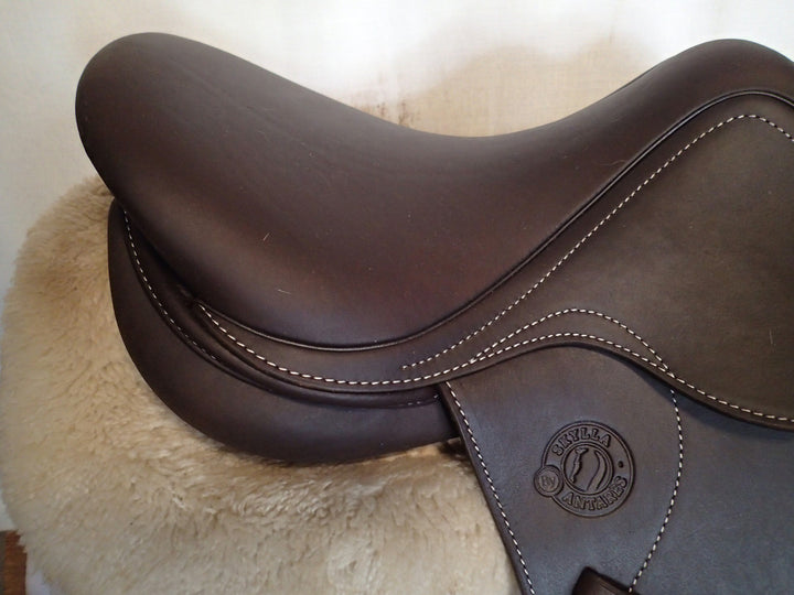 15.5" Antares Skylla Saddle - Full Calfskin - 2023 - 4.5" dot to dot (425)