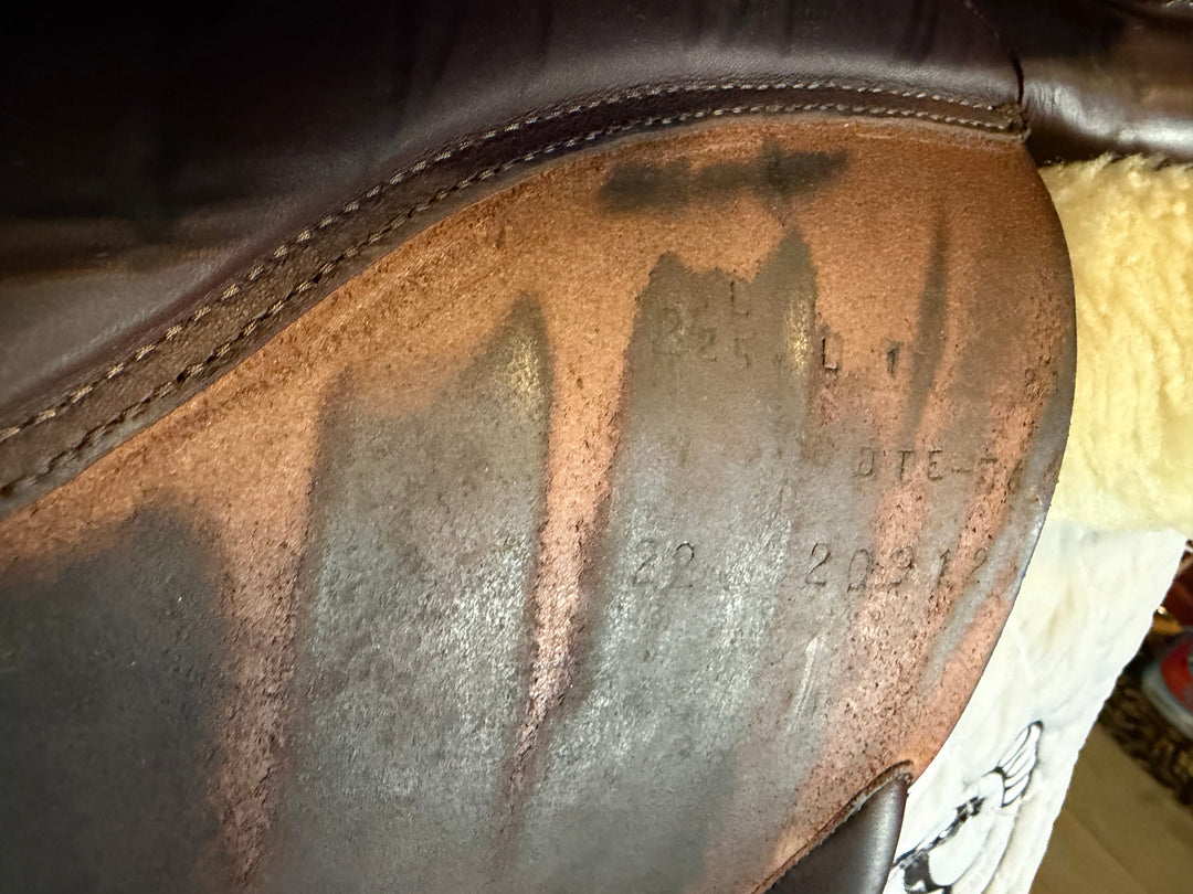 17" Butet Premium Saddle - Full Calfskin - 2022 - L Seat - 2.25L Flaps - 4.25" dot to dot (507)