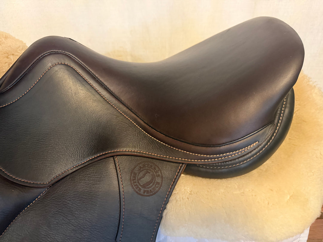 15.5" Antares Hero Junior Saddle - Full Buffalo - 2023 - 5" dot to dot (547)