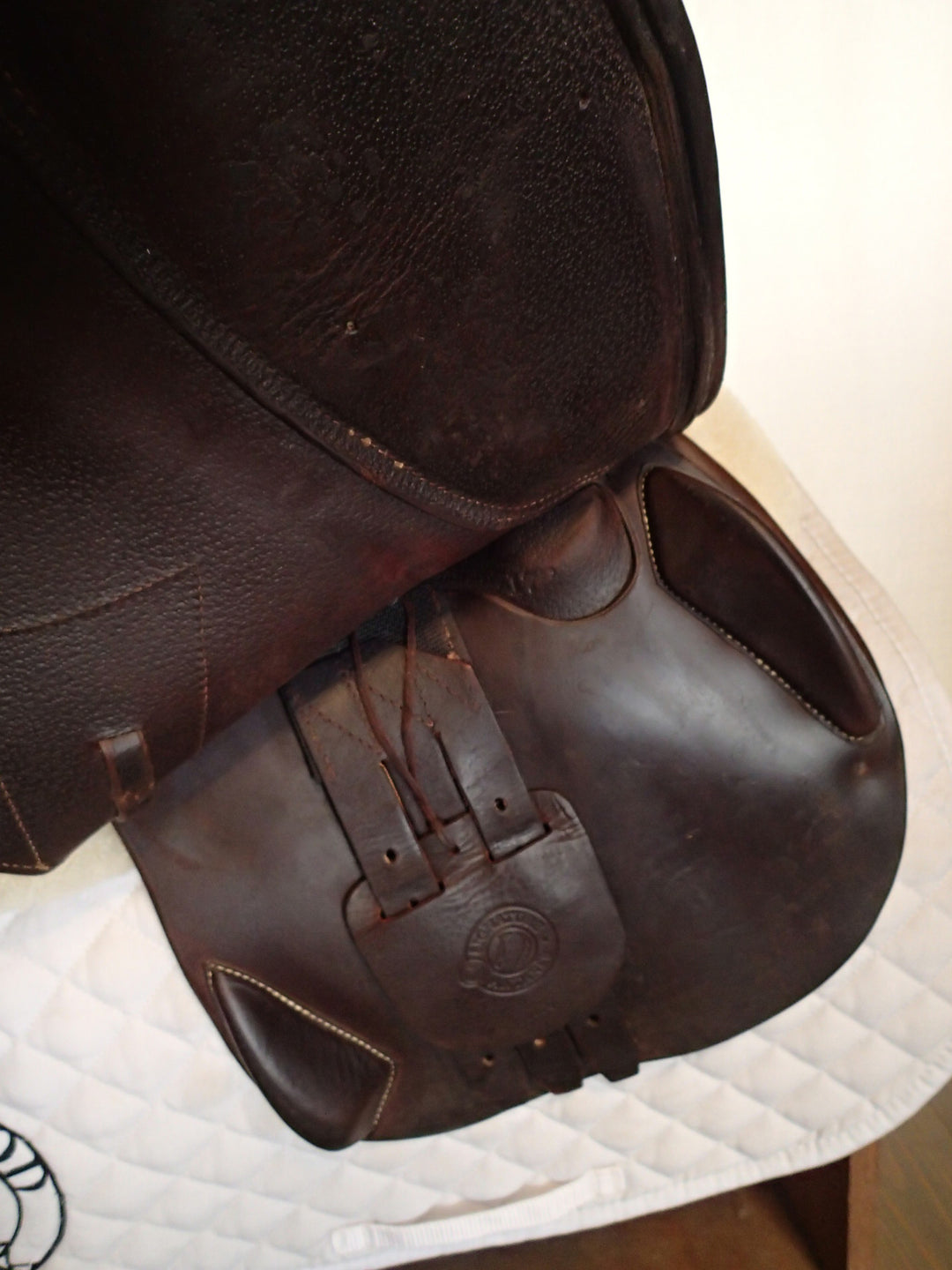 17" Antares Signature Saddle - Full Calfskin - 2021 - 2N Flaps - 4.5" dot to dot