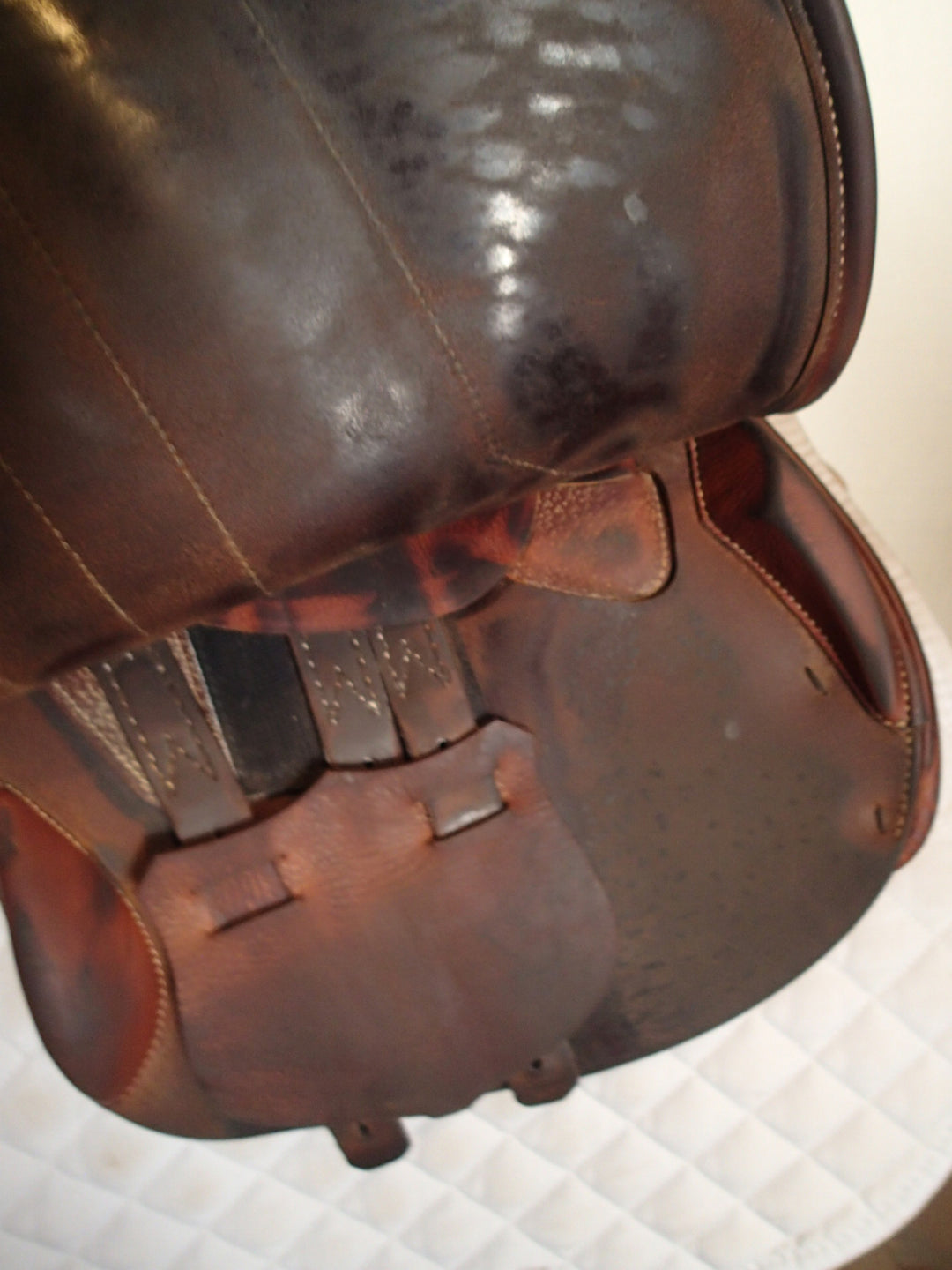 17" Renaissance by Prestige Saddle - Full Calfskin - 2021 - 4.5" dot to dot