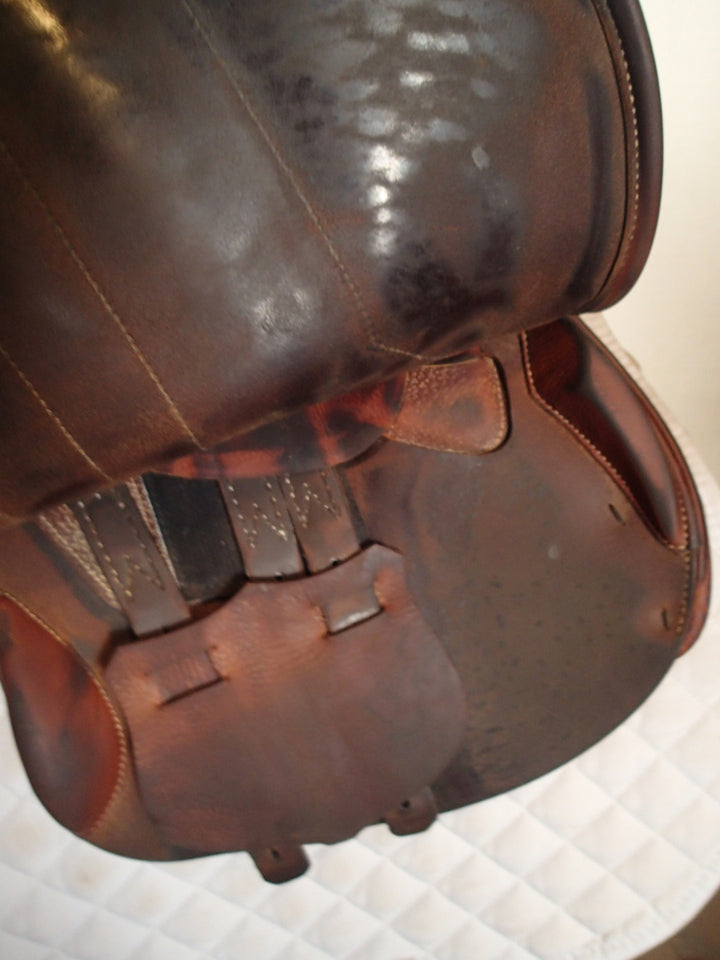 17" Renaissance by Prestige Saddle - Full Calfskin - 2021 - 4.5" dot to dot