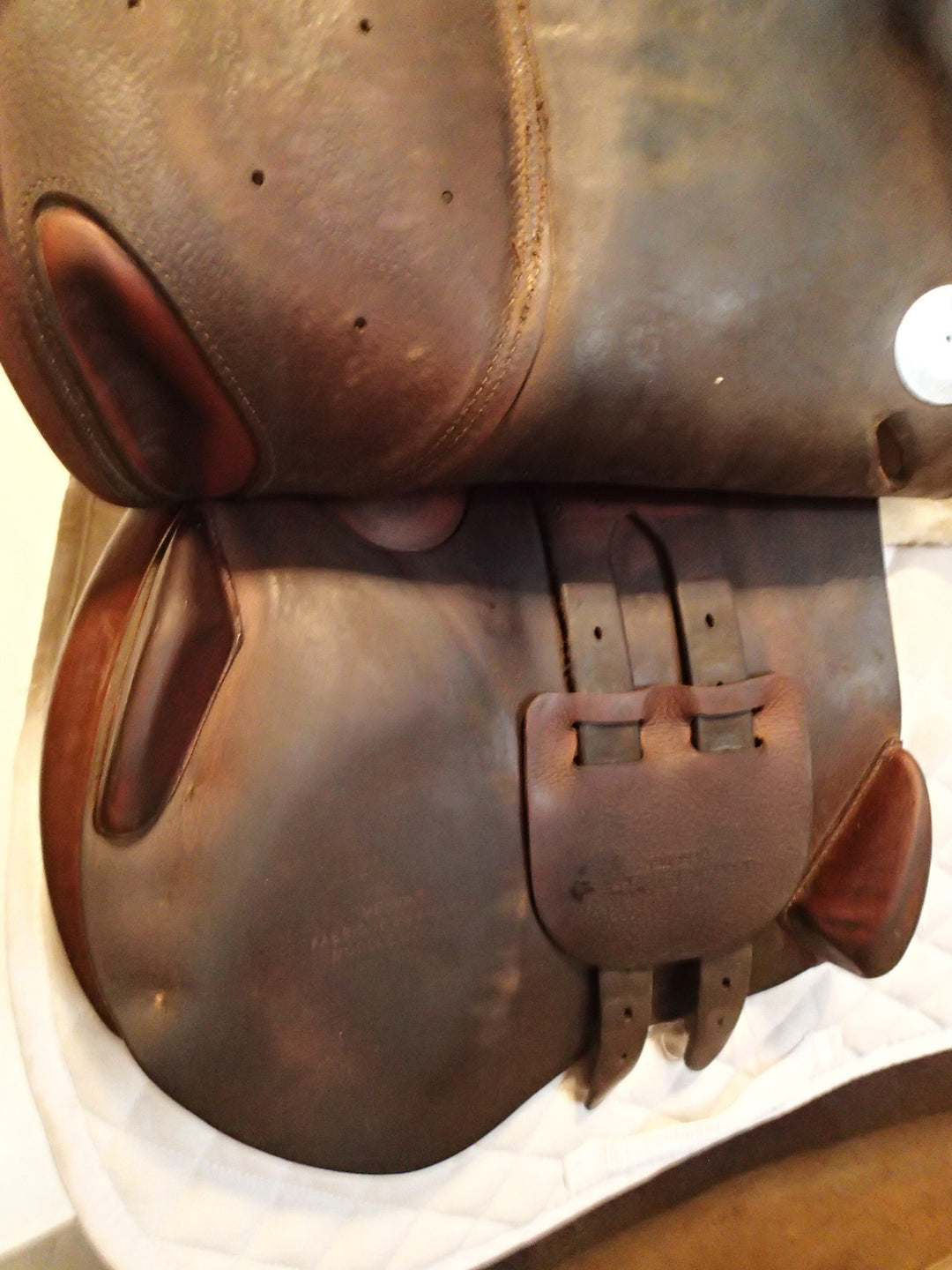 17.5" Meyer Act 1 Saddle - 2021 (960)