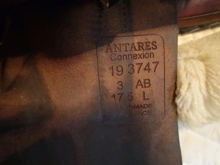 17.5" Antares Connexion Saddle - Full Calfskin - 2019 - 3AB Flaps - 4.5" dot to dot