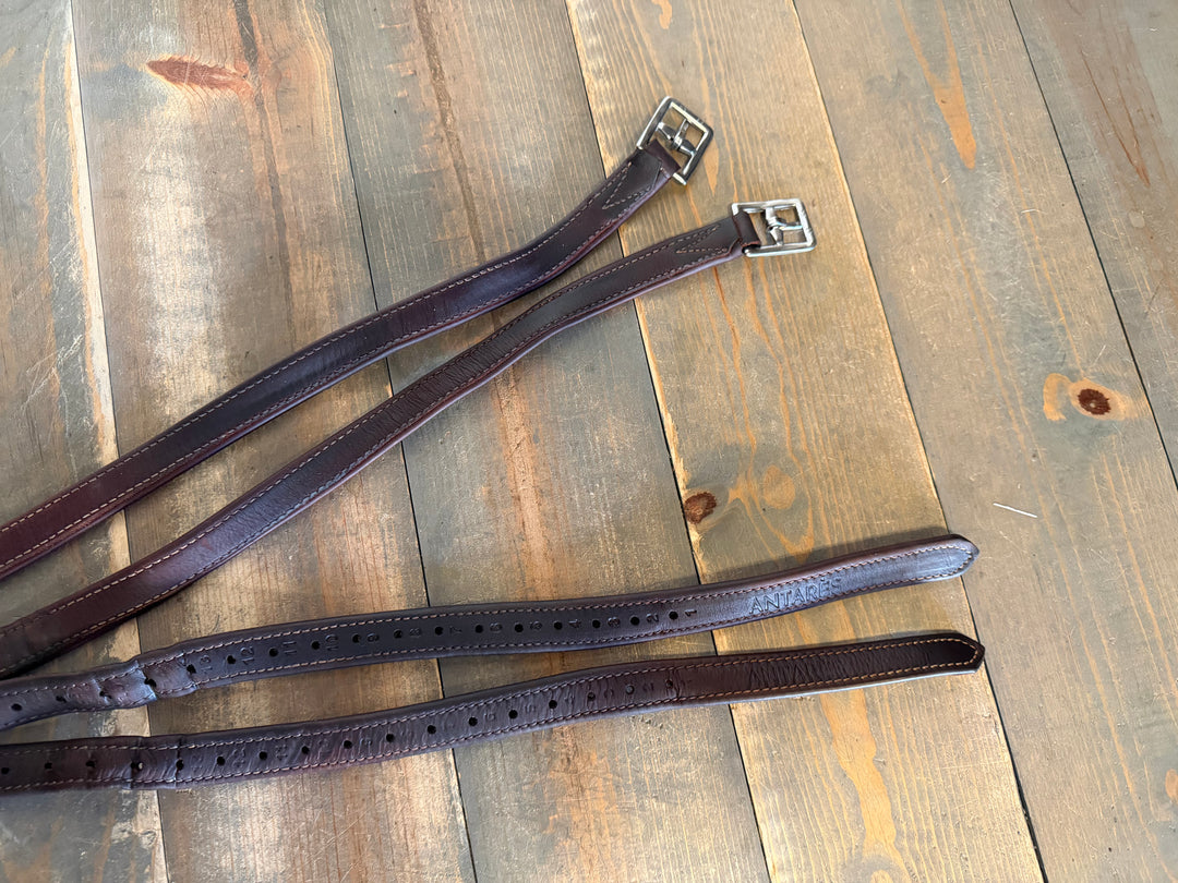 Antares Stirrup Leathers - 54"