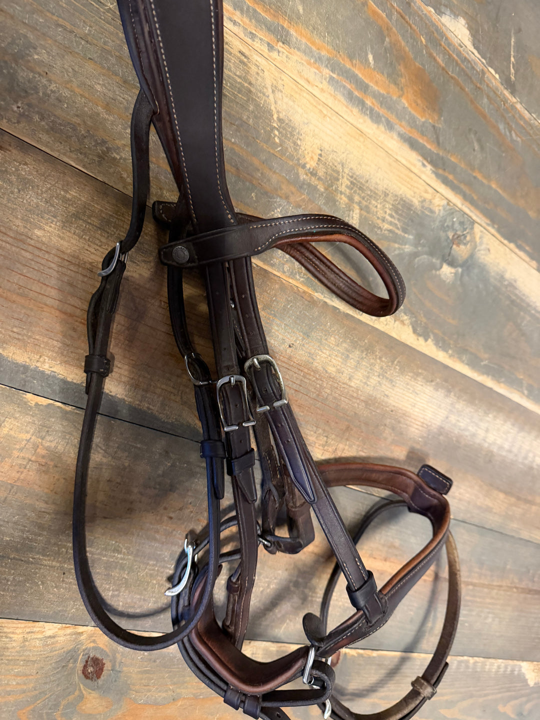 Antares Raised Anatomic Bridle - Size 1 (cob)