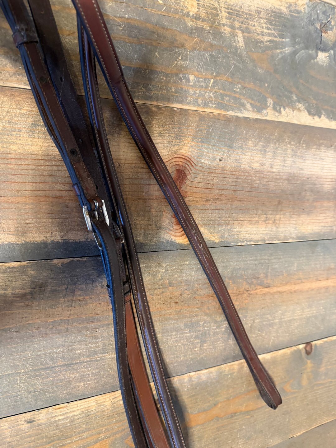 Antares Fancy Stitched Standing Martingale - Size 2 (horse)