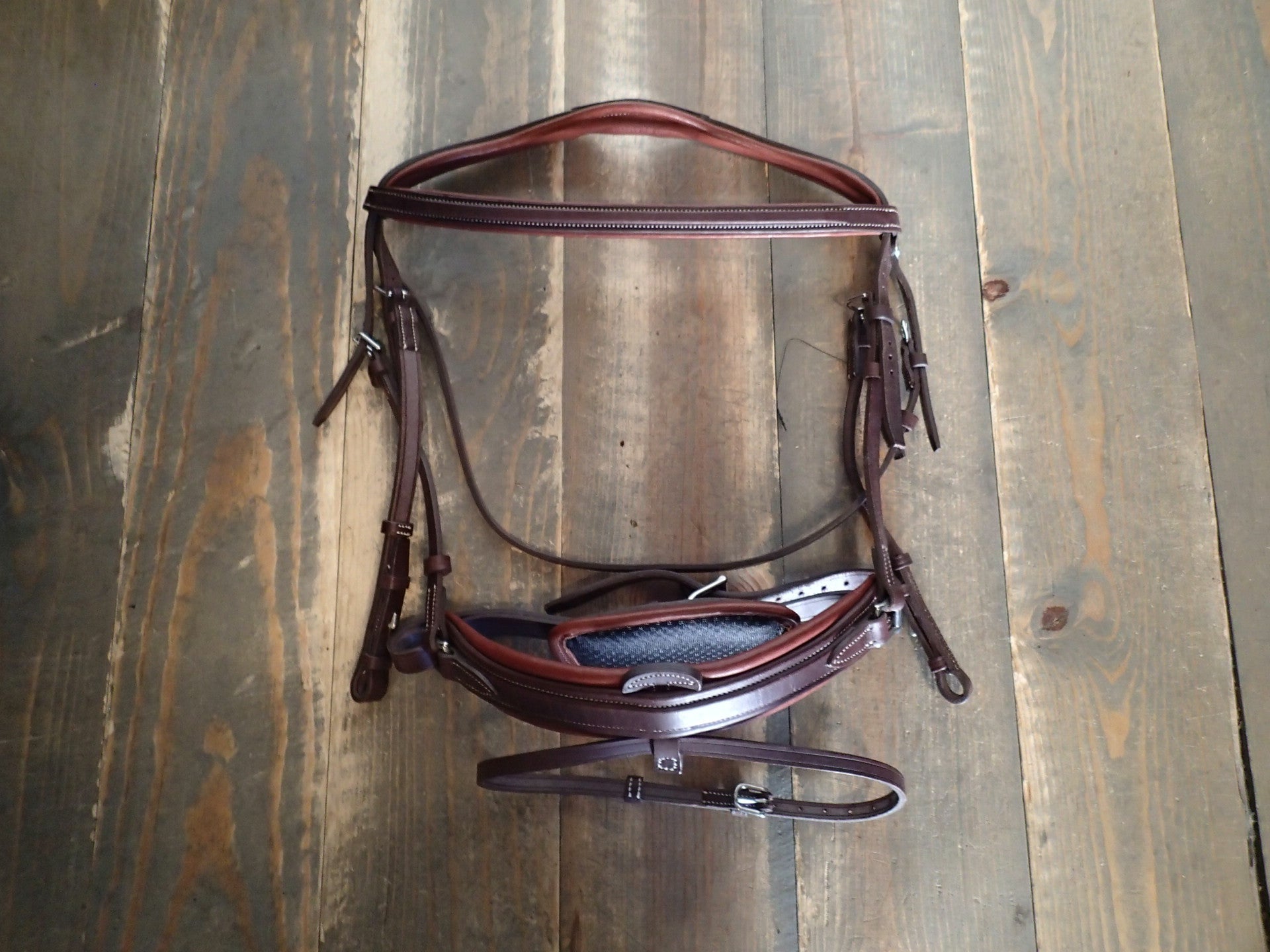 Bridles, Reins, Martingales & Breastplates – Redwood Tack