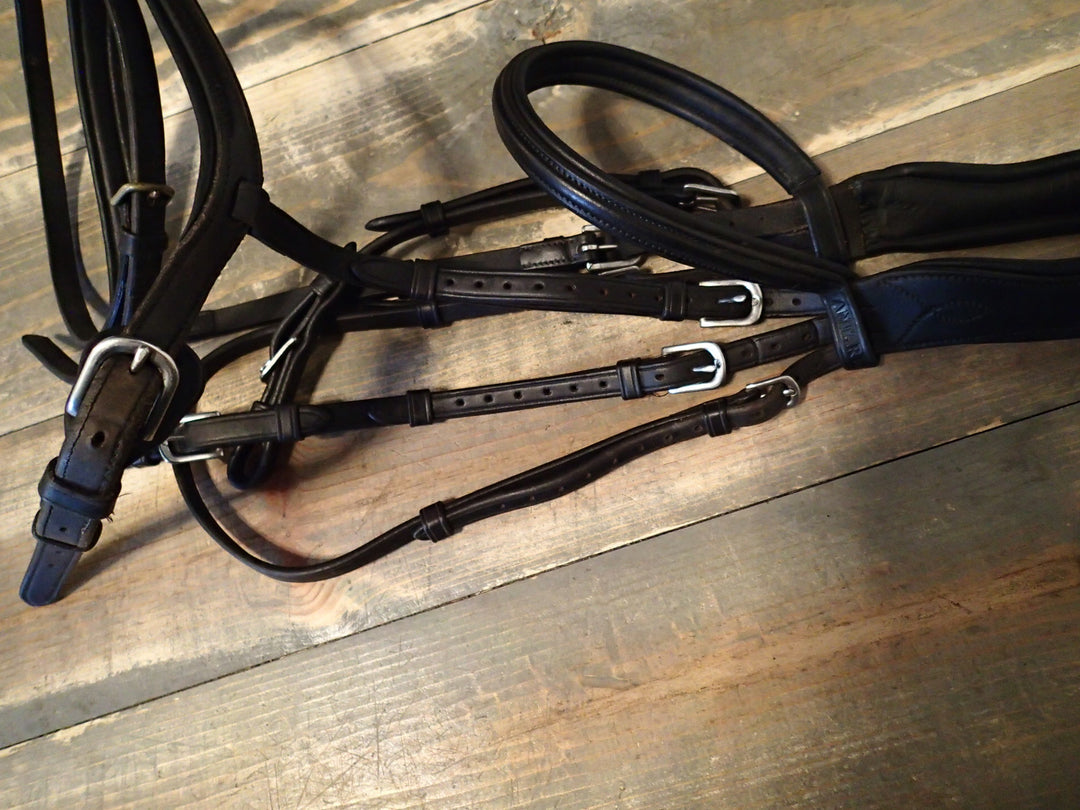 Antares Fancy Stitched Flash Bridle - Black - Size 2